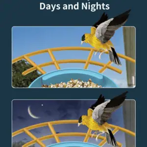 BIRD5 Pametna hranilica za ptice sa kamerom