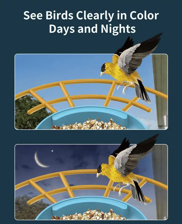 BIRD5 Pametna hranilica za ptice sa kamerom